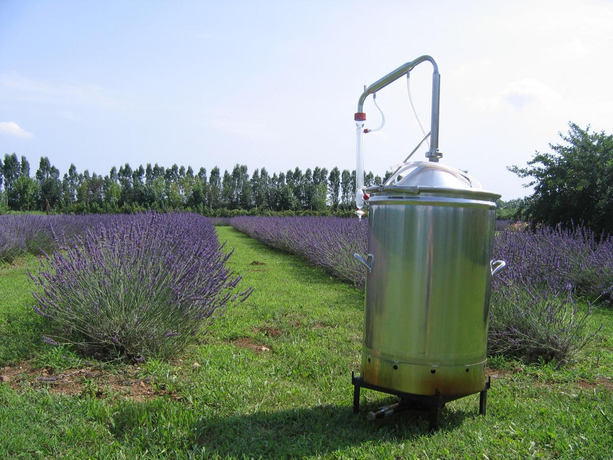 Agriturismo Domus Magna Povoletto Esterno foto