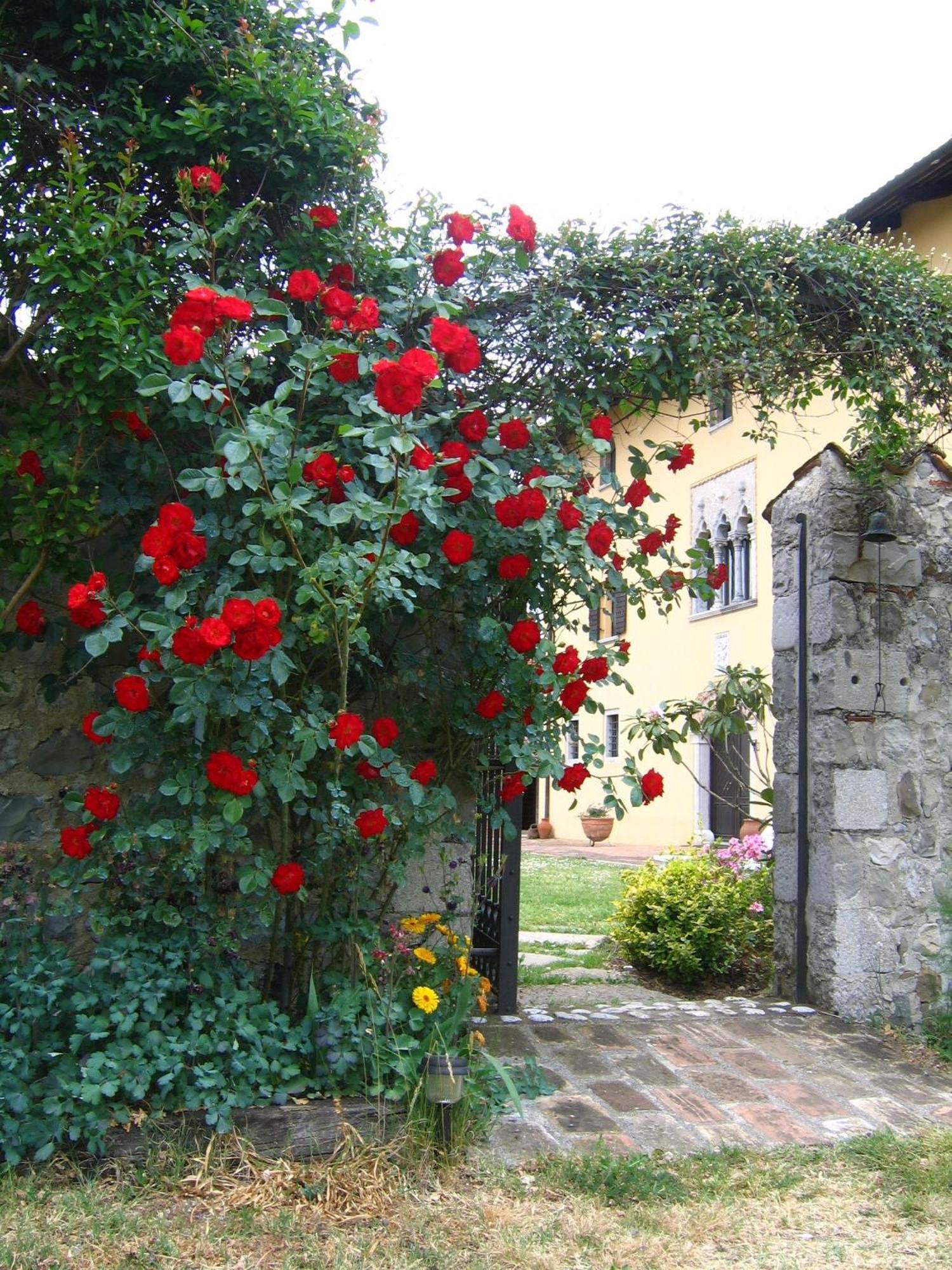 Agriturismo Domus Magna Povoletto Esterno foto